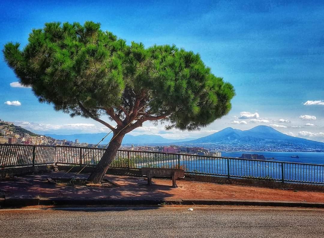 "Dint E Viche E Napule" Guest House Napoli Bagian luar foto